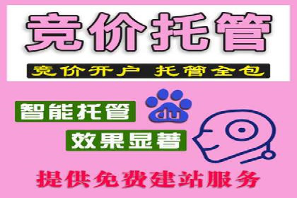 百度SEM代运营案例分析：助力企业品牌腾飞